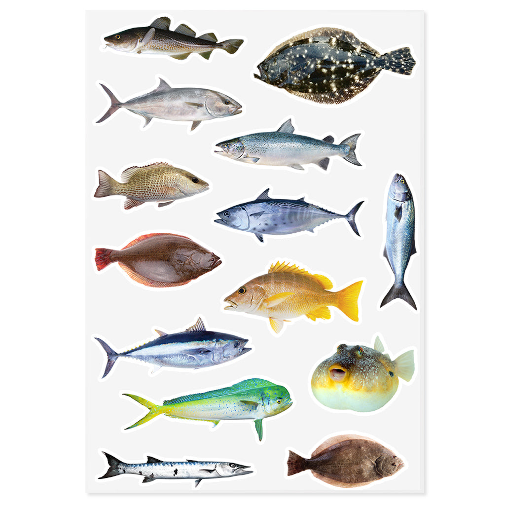 Mixed Saltwater Live Fish Sticker Sheet