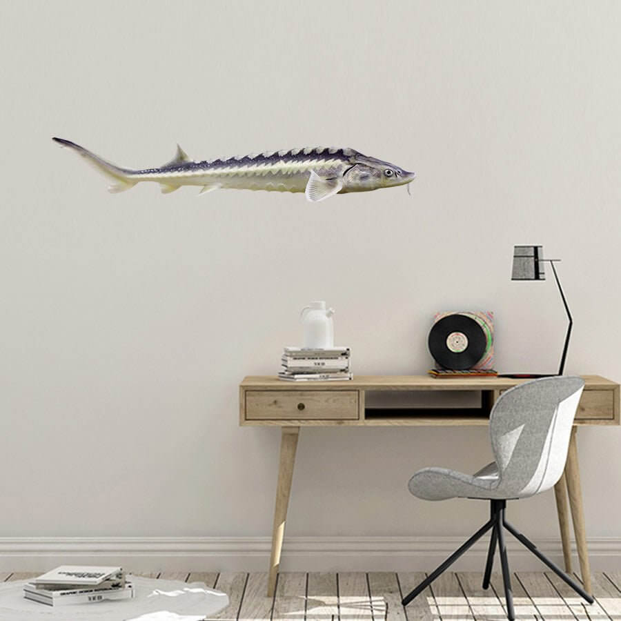 Sturgeon Decal Sturgeon Vinyl Decal Sturgeon Sticker Fish Sticker