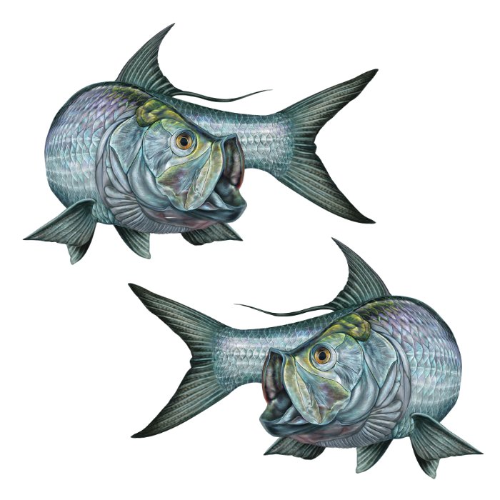 Tarpon Large Decals and Stickers