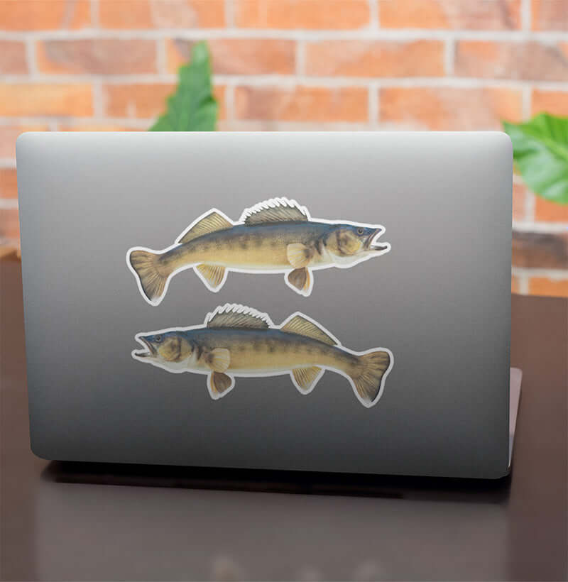 Search by Species - Freshwater Stickers & Decals