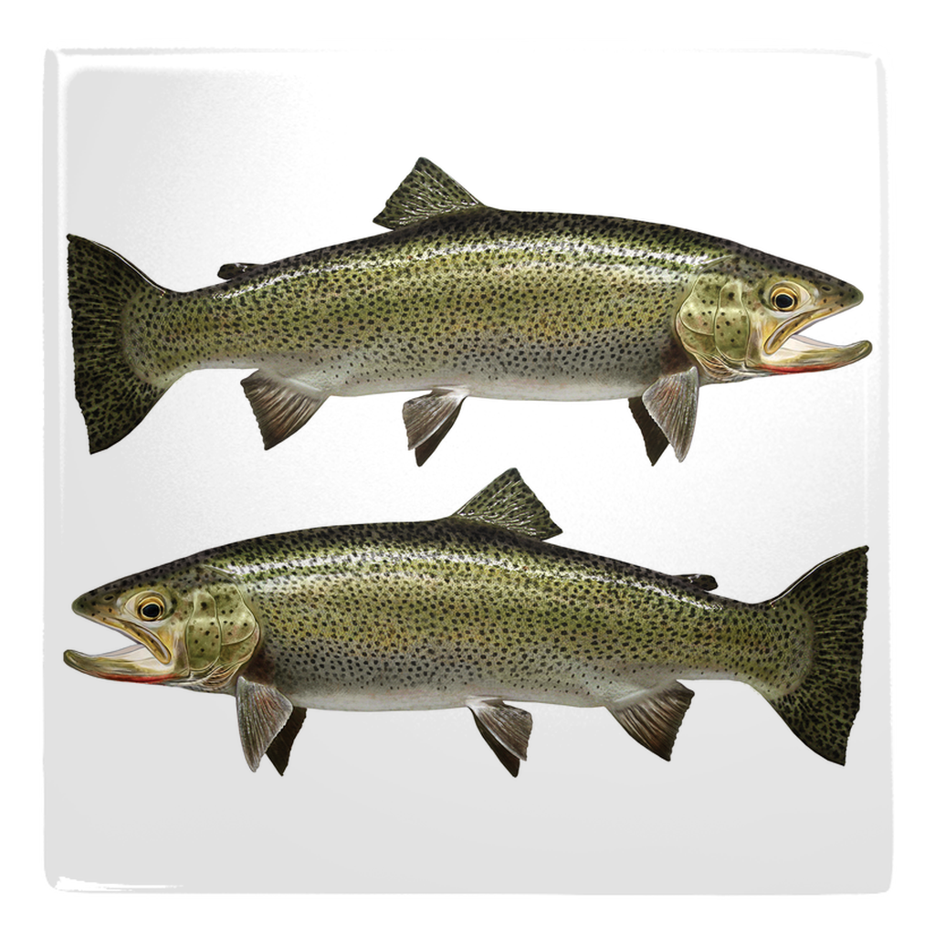 Mixed Trout Metal Magnet 4.