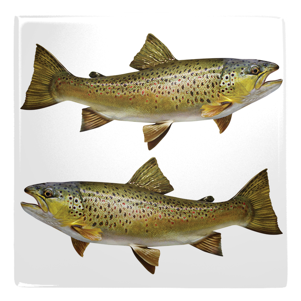 Mixed Trout Metal Magnet 5.