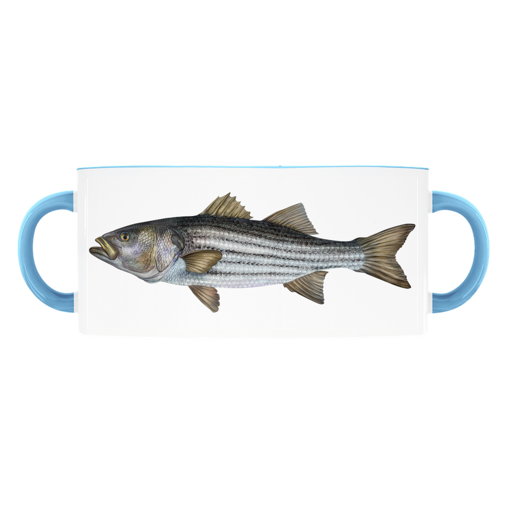 Striped Bass accent mug with light blue handle and rim on white background.