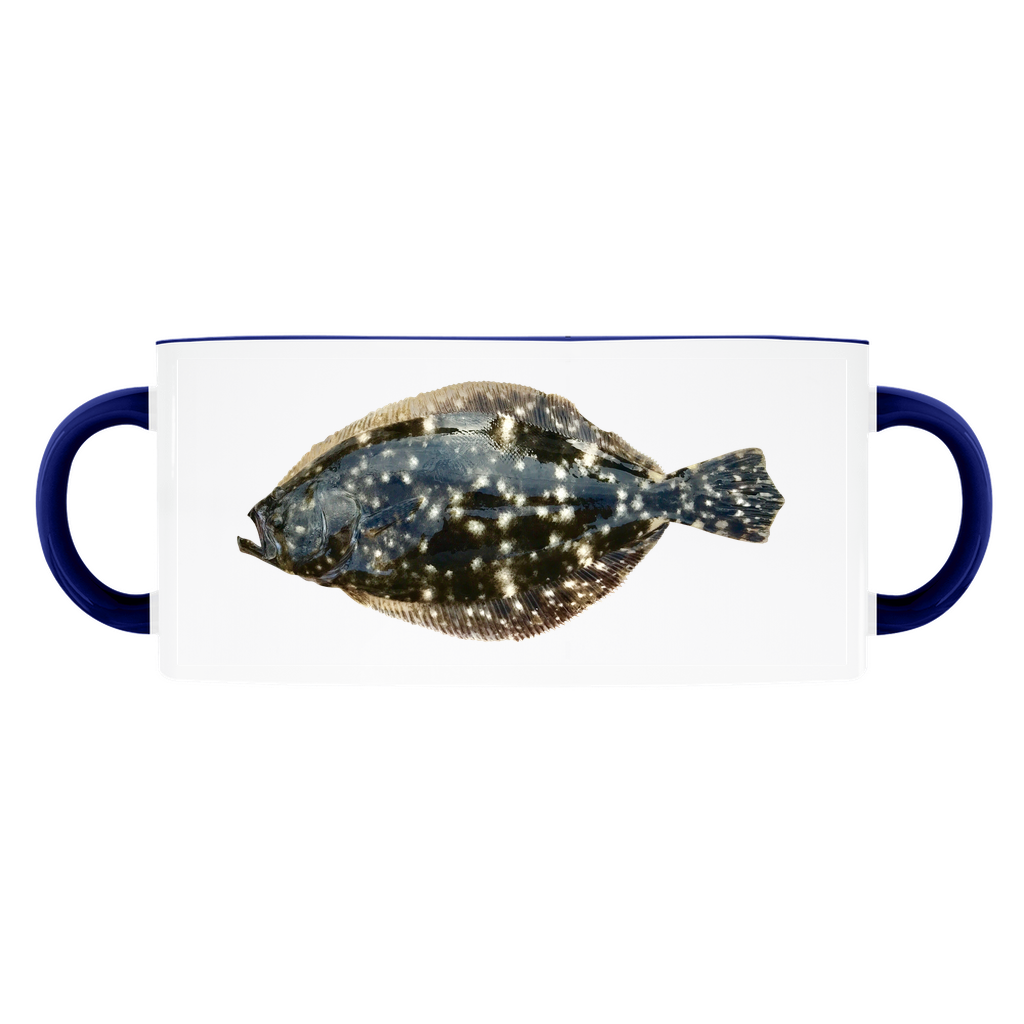 Summer Flounder, Fluke accent mug with dark blue handle and rim on white background.