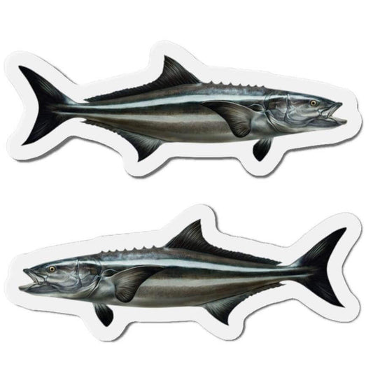 Two fish-shaped Cobia magnets facing left and right, perfect for outdoor and fishing enthusiasts.