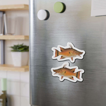 Hogfish magnets on fridge, showcasing fish-shaped design for fun kitchen décor.