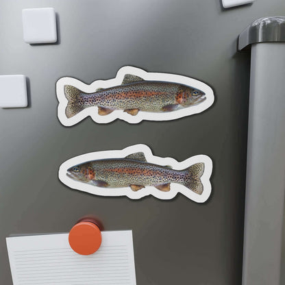 Rainbow Trout fish shaped magnets on refrigerator door, perfect for fun kitchen décor.