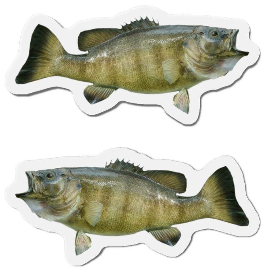 Smallmouth Bass fish shaped magnets for fun fridge décor.