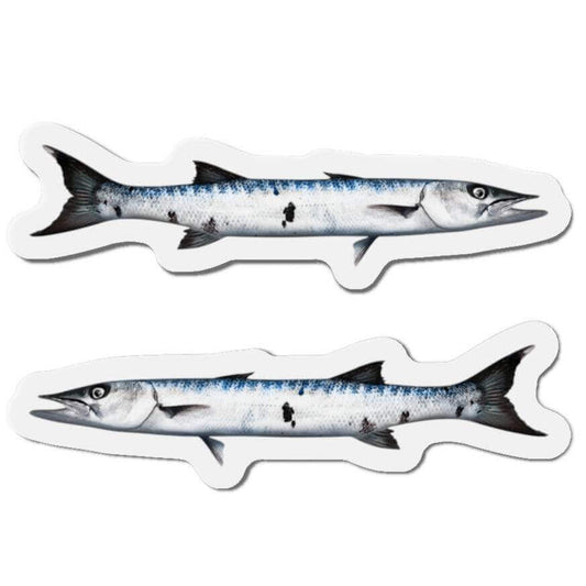 Barracuda fish shaped magnets for fun fish décor and fridge decoration