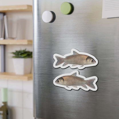 Black Buffalo fish-shaped magnets on refrigerator, adding fun fish décor to the kitchen.