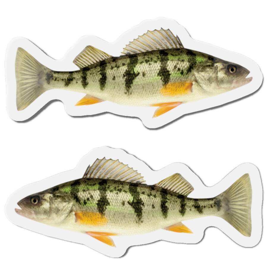 Yellow Perch fish shaped magnets in left and right-facing designs, perfect for fun fish décor on refrigerators or kitchens.