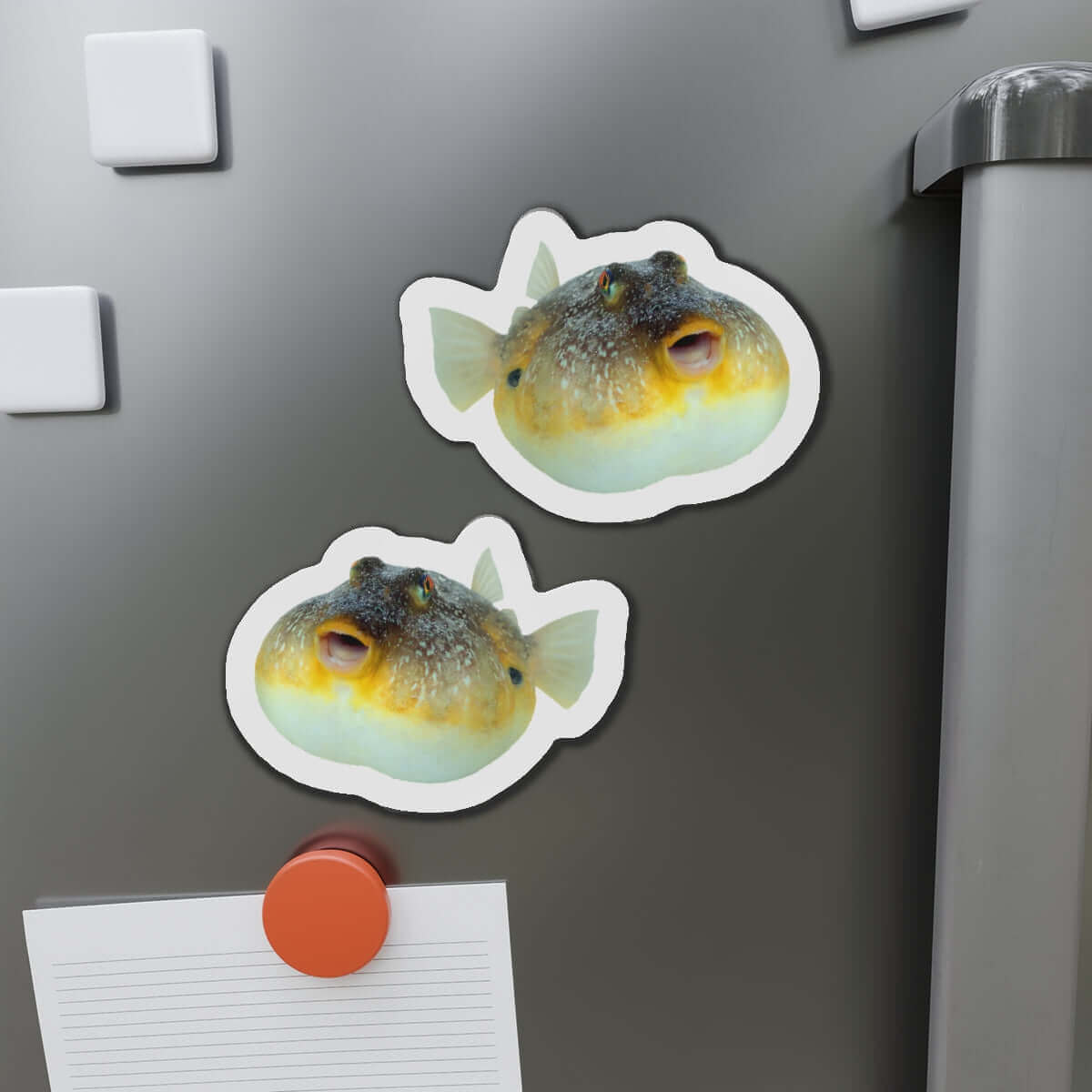 Pufferfish magnets on fridge, showcasing fun fish décor and fish shaped magnets for fishing enthusiasts.