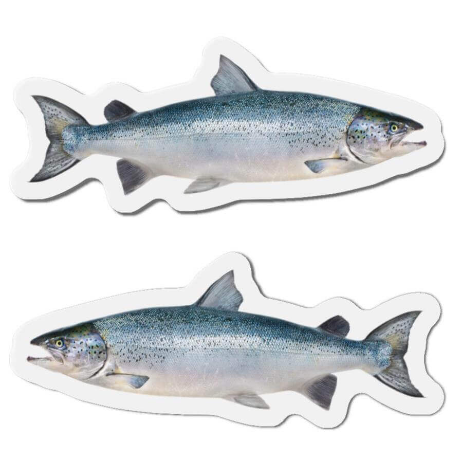 Atlantic Salmon fish shaped magnets with left and right designs, perfect for fish décor enthusiasts and fun kitchen magnets collection.