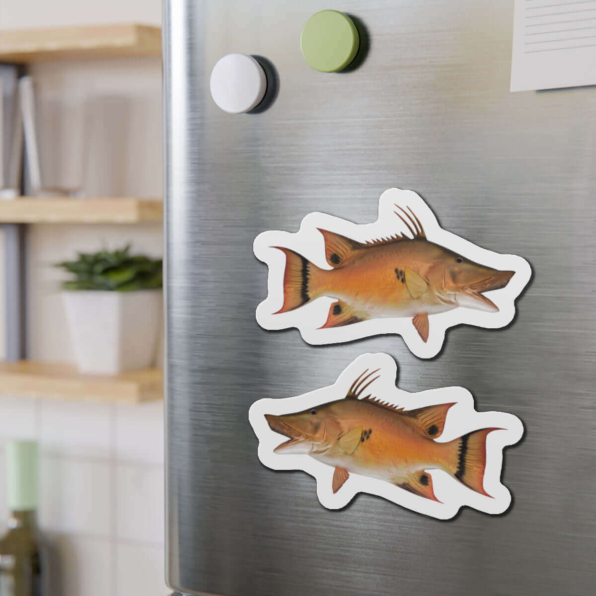 Hogfish magnets on fridge, showcasing fish décor and fun kitchen style.