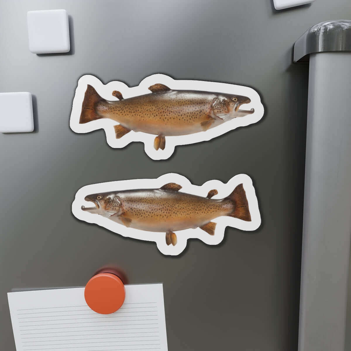 Brown Trout fish shaped magnets on refrigerator, perfect for fish décor and fishing enthusiasts.