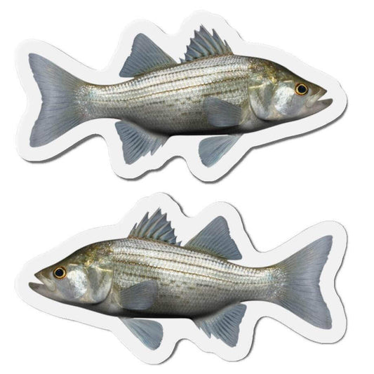 White Bass fish shaped magnets for fun fridge décor with left and right-facing designs.