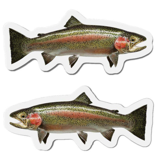 Rainbow Trout fish shaped magnets for fun kitchen décor on a fridge.