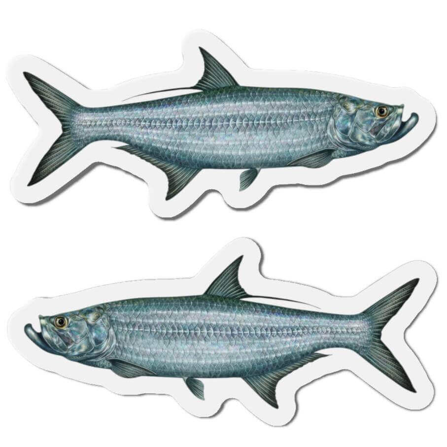 Tarpon Fish Shaped Magnets for Fridge Décor