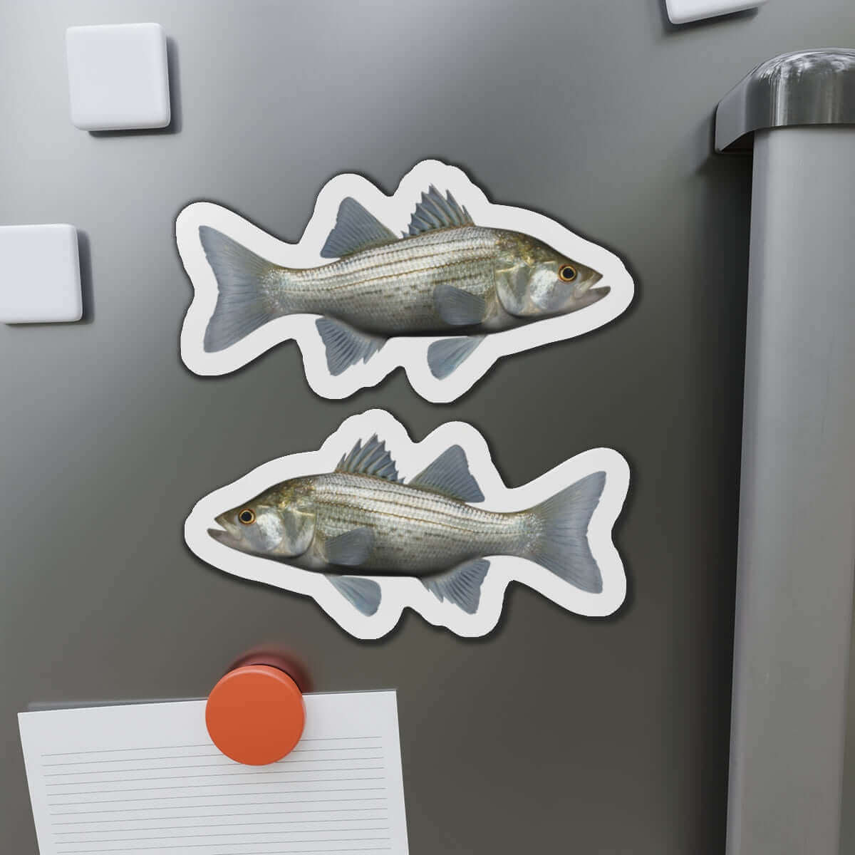 White Bass fish shaped magnets on a fridge, perfect for fish décor enthusiasts and fishing fridge magnet collectors.