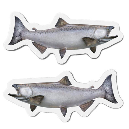 Chinook Salmon fish shaped magnets for fun fridge décor, displaying left and right-facing designs for fishing enthusiasts.