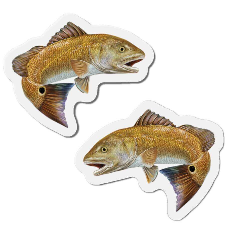 Red Drum Fish Shaped Magnets Set for Fun Fridge Decor