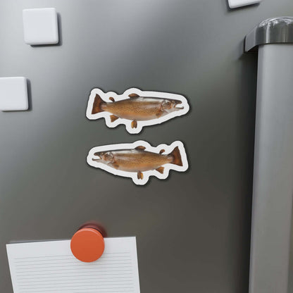 Brown Trout fish magnets on a refrigerator, showcasing fun fish décor with a natural outdoor flair for fishing enthusiasts.