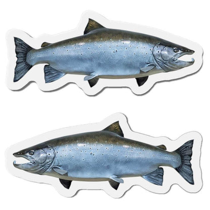 Atlantic Salmon Fish Shaped Magnets for Fun Fridge Décor