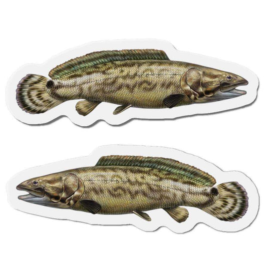 Bowfin Fish Shaped Magnets for Fridge Décor