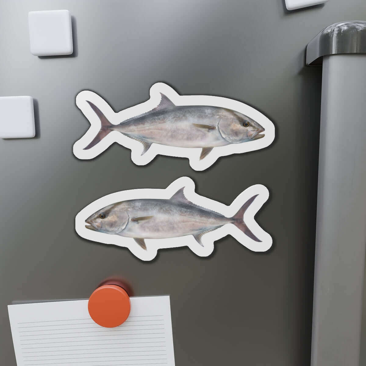 Amberjack Fish Shaped Magnets on Fridge - Perfect for Fishing Fans and Fish Décor Enthusiasts