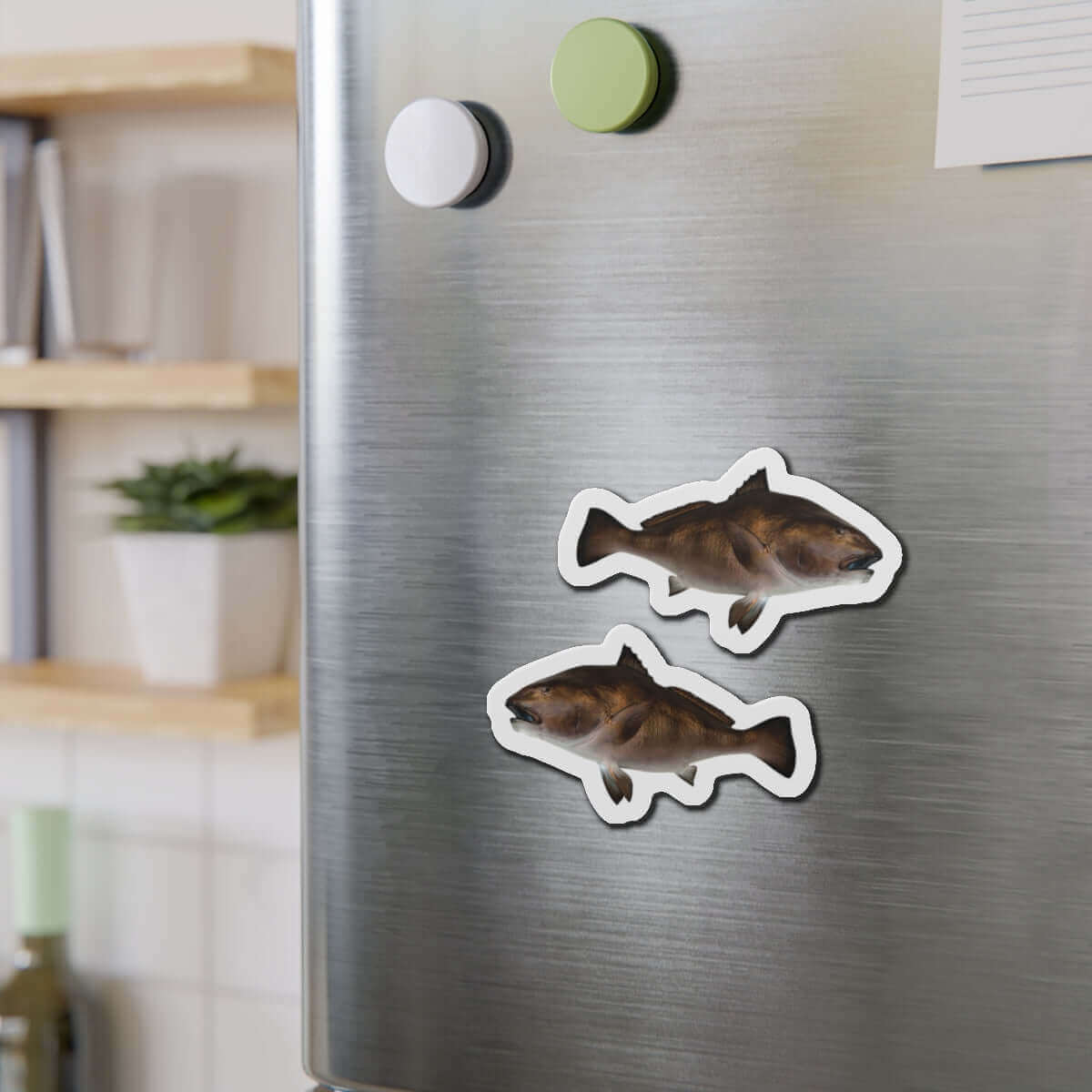 Black Drum fish shaped magnets on refrigerator door, perfect fish décor for kitchen or fridge.