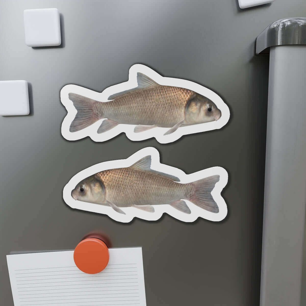 Black Buffalo fish shaped magnets on a refrigerator, perfect for fish décor and fishing enthusiasts.