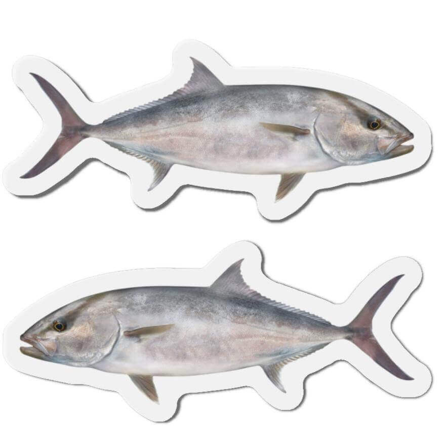 Amberjack fish-shaped magnets for fridge décor with left and right design.