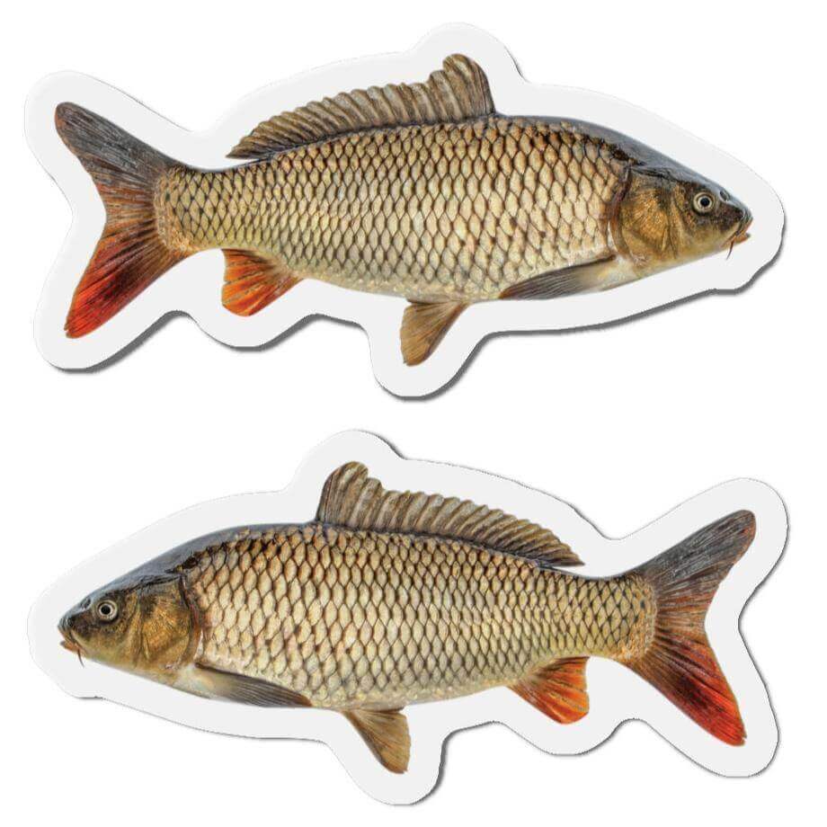 Fish-shaped carp magnets facing left and right, perfect for fishing enthusiasts and nature lovers