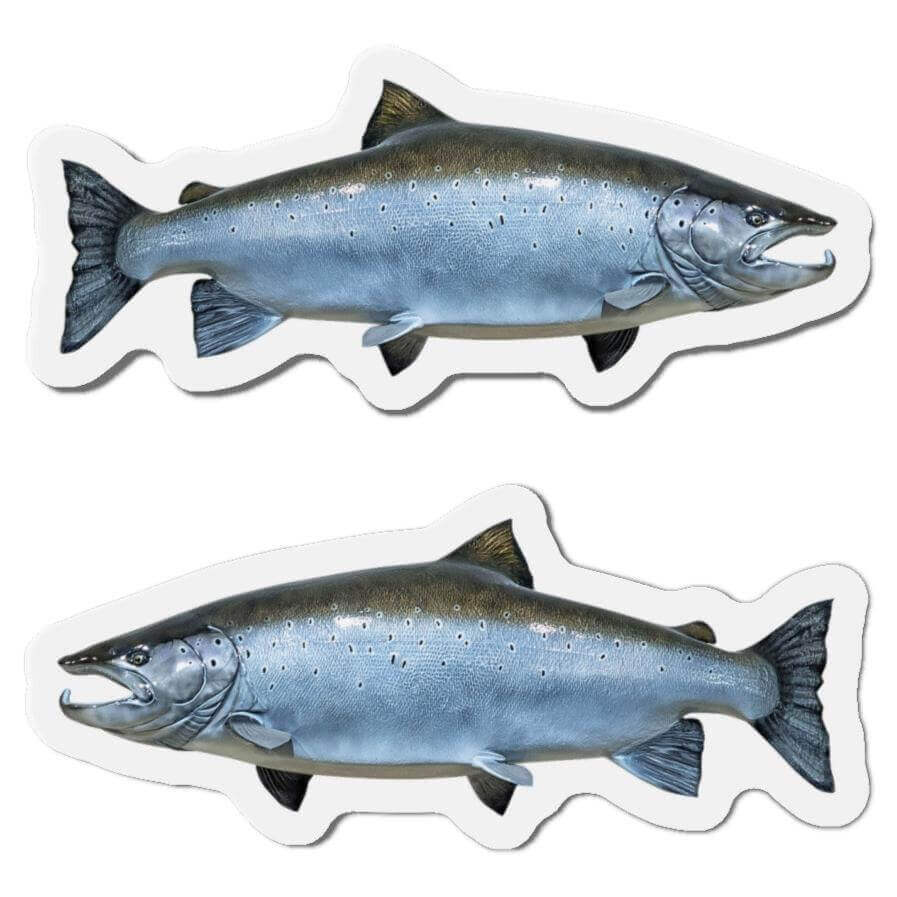 Atlantic Salmon Fish Shaped Magnets for Fridge Décor