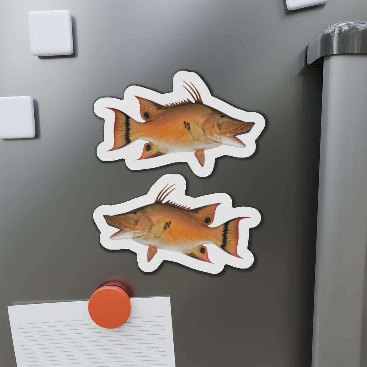 Hogfish Shaped Magnets on Fridge, Perfect for Fish Décor and Fun Fridge Magnets