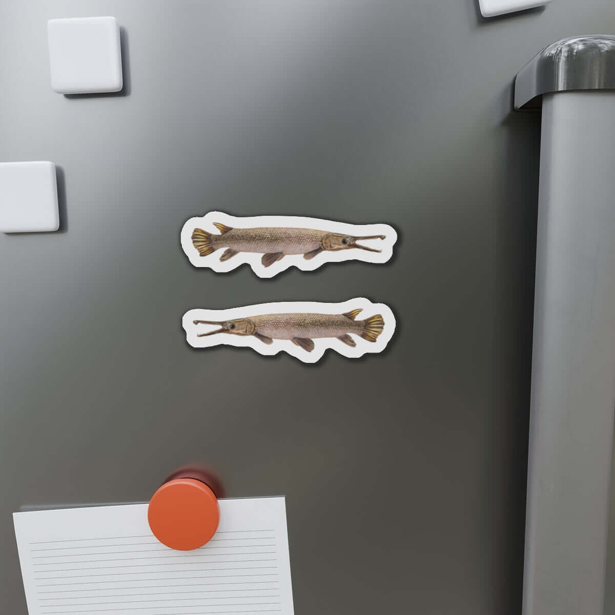 Alligator Gar fish shaped magnets on a fridge door, perfect for fish décor and fun kitchen magnets enthusiasts.