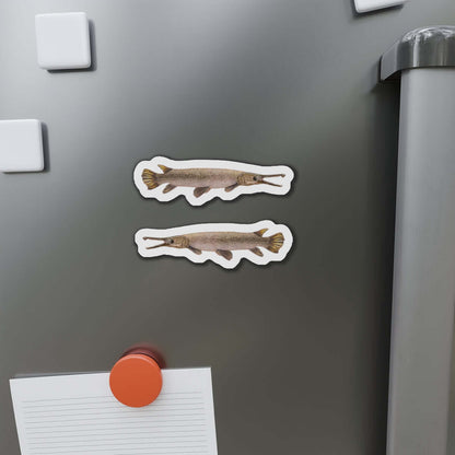 Alligator Gar fish shaped magnets on a fridge door, perfect for fish décor and fun kitchen magnets enthusiasts.