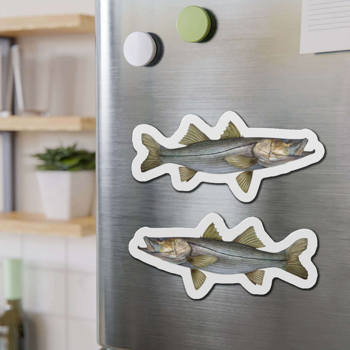 Snook fish shaped magnets on refrigerator door, perfect for fish décor enthusiasts and fun kitchen magnets.