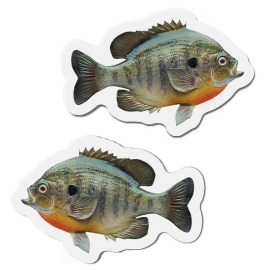 Bluegill Sunfish shaped magnets for fridge décor, featuring a pair of left and right fish designs. Perfect for fishing fans and fun kitchen magnets.