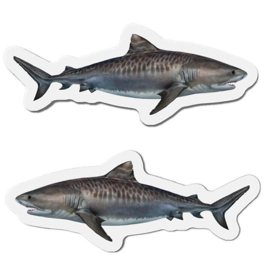 Tiger Shark Fish Shaped Magnets for Fun Fridge Décor