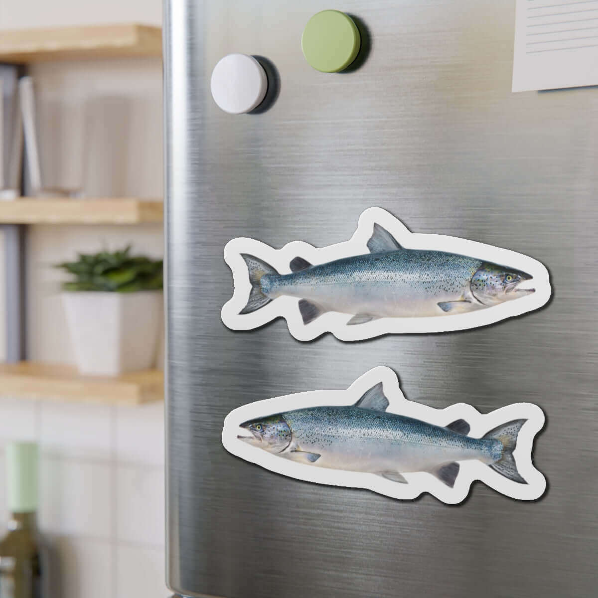 Atlantic Salmon fish shaped magnets on a fridge adding natural flair, perfect for fishing fans or fun kitchen décor enthusiasts.