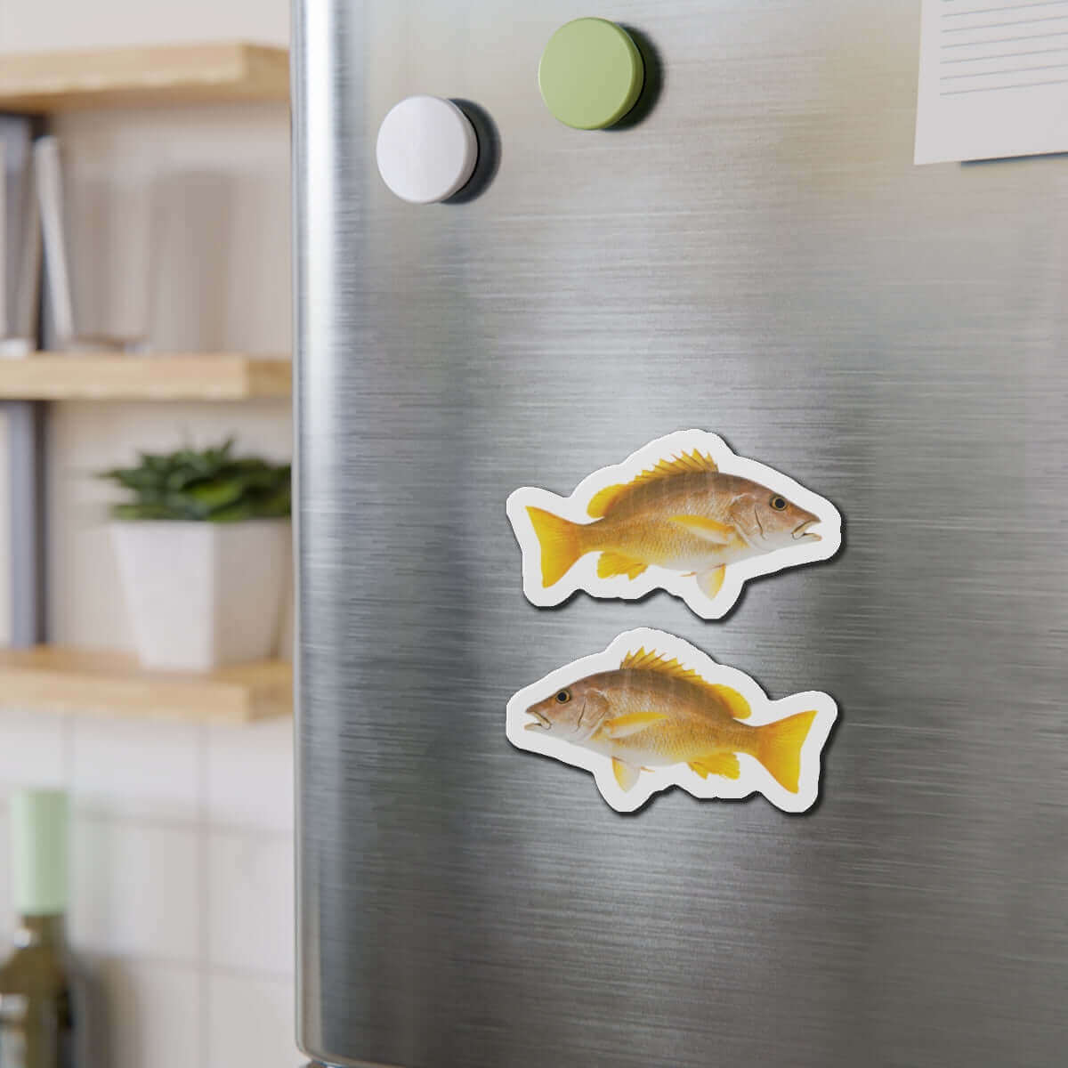 Schoolmaster Snapper fish shaped magnets on a fridge, adding fun fish décor for fishing fans and lovers of the water.