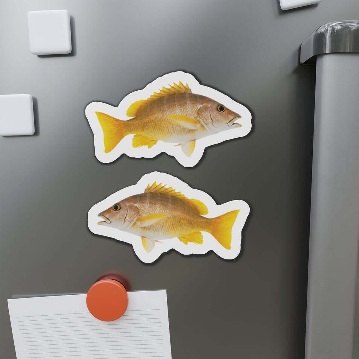 Schoolmaster Snapper fish shaped magnets on fridge, perfect for fish décor and fun kitchen style.