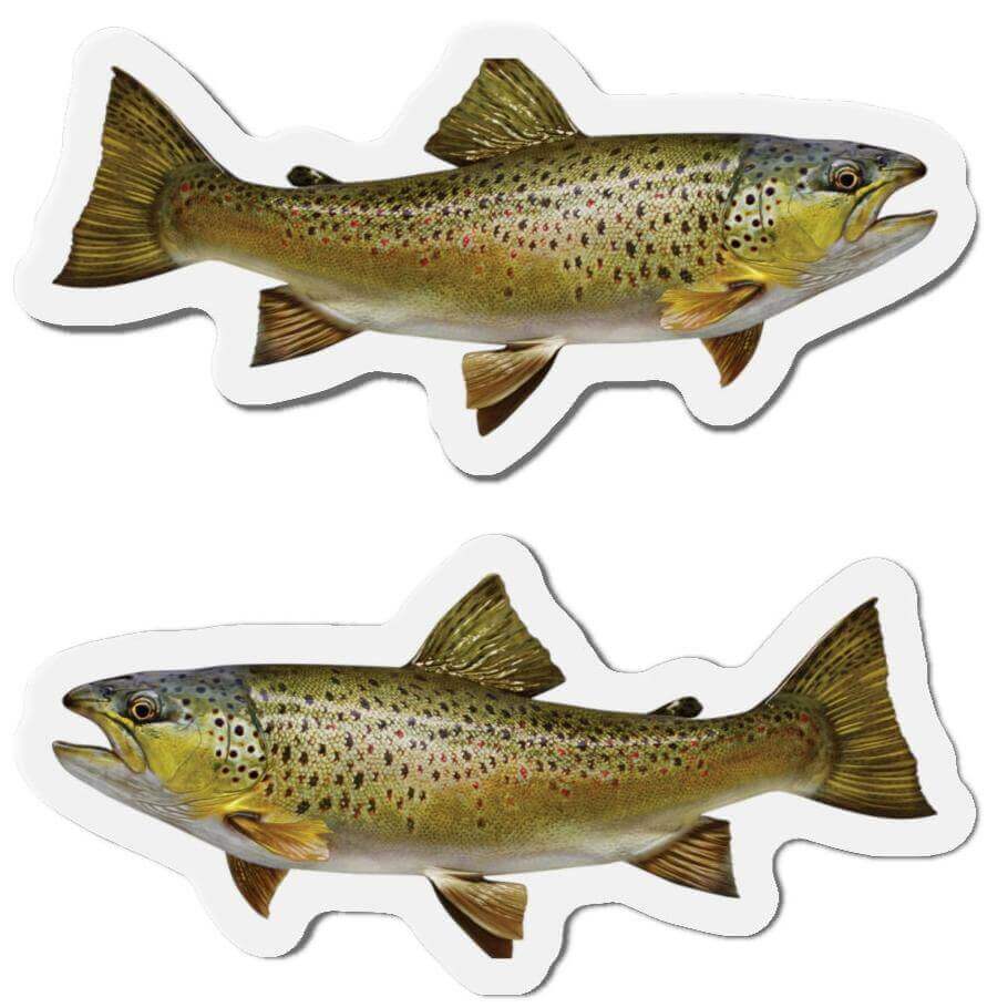 Brown Trout Fish Shaped Magnets for Fun Fridge Décor