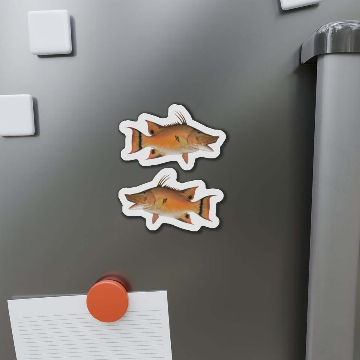 Hogfish Shaped Magnets on Fridge Door - Fun Fish Fridge Magnets for Kitchen Décor