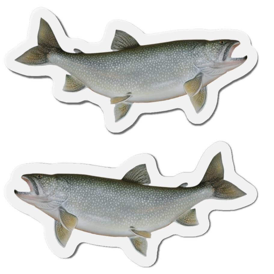 Lake Trout magnets in fish shapes, perfect for adding natural flair to your kitchen or refrigerator décor.