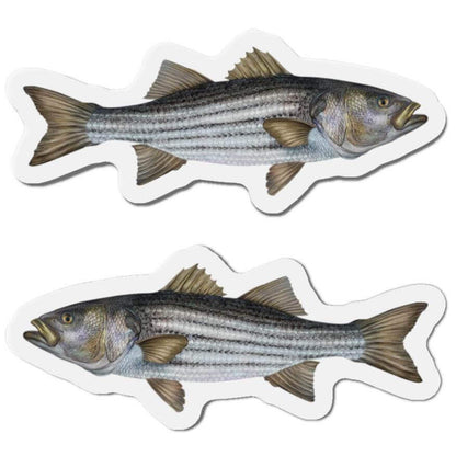 Striped Bass Fish Shaped Magnets for Fun Fridge Décor