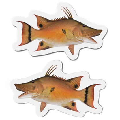 Hogfish Shaped Magnets for Fun Fish Décor and Fishing Fans