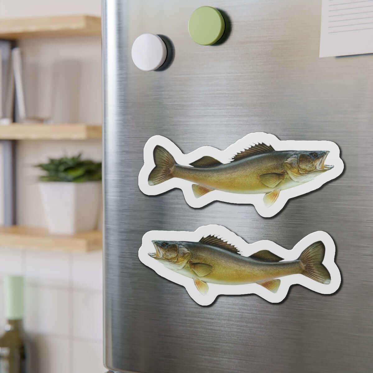 Walleye fish magnets on a refrigerator, perfect for fish décor and fun fridge magnets enthusiasts.