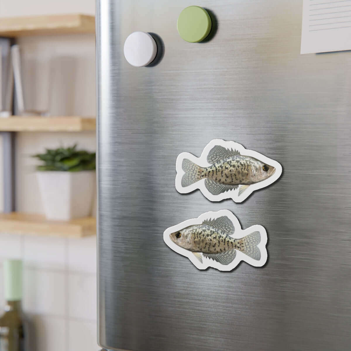 Crappie fish shaped magnets on a fridge, perfect for fish décor enthusiasts and fun fridge magnets collectors.